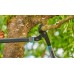 GARDENA Astschere EnergyCut Pro L Amboss 12052-20