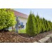 GARDENA Start Set Pflanzreihen M automatic 13012-20