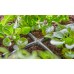 GARDENA MDS Kreuzstück 4,6 mm (10St) 13214-20