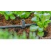 GARDENA MDS T-Stück für Sprühdüsen/ Endtropfer 4,6 mm (5St.)13216-20