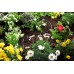 Gardena Micro-Drip-System Tropfrohr 4,6 mm (3/16"), 15 m 1362-20