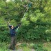 Makita DUA200Z Akku-Hochentaster 18V ohne akku