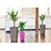 PLASTKON In- & Outdoor Blumentopf Elise 15 cm taupe glänzend