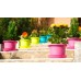 PLASTKON Blumentopf Campanula 15 cm terrakotta