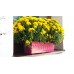 PLASTKON Bewässerungssystem Blumenkasten Smart System Fantazie 60 cm fuchsie