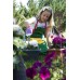 PLASTKON Bewässerungssystem Blumenkasten Smart System Extra Line 60 cm türkis