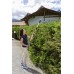 AL-KO HTA 2050 EASY FLEX Akku-Hochheckenschere 51cm (ohne Akku) 113539