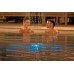 BESTWAY FloatBright Poolfontäne mit solarbetriebenen LED-Licht 19,5 x 18,2 x 6,8 cm 58849