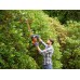 Black & Decker BEHTS501 Elektro-Heckenschere 230V (60cm/600Wat)