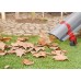 SKIL 0796 Laubsauger und Gebläse 3000 W F0150796AA