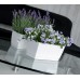 Prosperplast COUBI Blumenkasten mit Untersetzer 39x19x18,2cm weiß DUPP400-S449