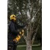 DeWALT DCMPS635N-XJ Akku-Hochentaster XR FlexVolt (54V/25cm/ohne Akku)