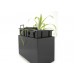 G21 Blumentopf mit Wasserspeicher Combi schwarz 56 x 28 cm 639248
