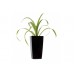 G21 Blumentopf mit Wasserspeicher Linea mini schwarz 14 cm 639247