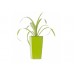 G21 Blumentopf mit Wasserspeicher Linea mini grün 14 cm 6392472