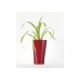 G21 Blumentopf mit Wasserspeicher Trio mini rot 15 cm 6392511