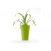 G21 Blumentopf mit Wasserspeicher Trio mini grün 15 cm 6392512