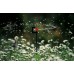 GARDENA Micro-Drip-System Rotor-Sprühregner 360° 2 St., 1369-20