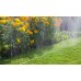 GARDENA Schlauch-Regner, Länge 7,5 m, grün 1995-20