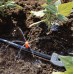 GARDENA Micro-Drip-System Kleinflächendüse, Inhalt: 10 St., 8320-20