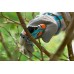 GARDENA Classic Rebenschere 8757-30