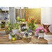 Gardena AquaBloom Solar-Bewässerung Set 13300-20