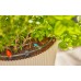 GARDENA MDS Verbinder 13 mm - 4,6 mm (5 St.)13204-20
