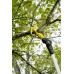 Kärcher TLO 2-18 Gartenschere (18V/ohne Akku) 1.445-340.0