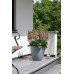 KETER BETON ROUND XL Blumentopf, 53 x 50 cm, dunkelgrau 17201496