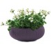 KETER COZIES L Blumentopf, 54 x 54 x 20,4 cm, dunkel lila 17202258