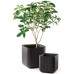 KETER CUBE PLANTER L Blumentopf, 39,5 x 39,5 x 39,5 cm, braun 17201220