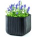 KETER CUBE PLANTER L Blumentopf, 39,5 x 39,5 x 39,5 cm, anthrazit 17201220