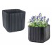 KETER CUBE PLANTER M Blumentopf, 29,5 x 29,5 x 29,7 cm, anthrazit 17202066