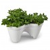 KETER IVY PLANTER Blumentopf, 41 x 38 x 19,1 cm, grau 17196813