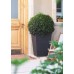 KETER RATTAN PLANTER L 144,8L Rattanübertopf, 53 x 73 cm, braun 17192302