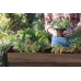 KETER DECO ELEVATED GARDEN BED Hochbeet, 113 x 47,5 x 79,8 cm, Walnuss 17213340