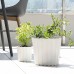 PROSPERPLAST BOARDEE BASIC Blumentopf 28,5 cm, weiß DDE290-S449