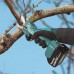 Makita DUP181Z Akku-Astschere für den Wein, max. ø 30mm,Li-ion LXT 18V, ohne akku Z