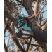 Makita DUP181Z Akku-Astschere für den Wein, max. ø 30mm,Li-ion LXT 18V, ohne akku Z