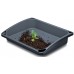 Prosperplast RESPANA GROW TRAY Tablett 57,6 x 45,6 x 11cm,