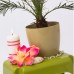 PROSPERPLAST COUBI Blumentopf 35 cm, grün DUO350-370U