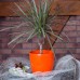 PROSPERPLAST COUBI Blumentopf 23 cm, gelb DUO230-Y200
