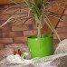 PROSPERPLAST COUBI Blumentopf 23 cm, gelb DUO230-Y200