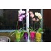 PROSPERPLAST COUBI Orchideentopf 1,3 l grün DUS130P