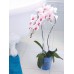 COUBI Orchideentopf 12,5 cm, 1,1l blau transparent DSTO125-CB77G
