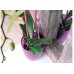 PROSPERPLAST COUBI Orchideentopf 1,5l weiß DUOW130P-CPNO