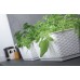 Prosperplast RATOLLA CASE P Blumenkasten mit Untersetzer 39,1x17,3x15cm umbra ISR400P-440U