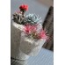 Blumentopf ROCKA H:10 cm, icegrau DROC125P