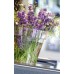 PROSPERPLAST CUBE P 2,2l transparent, DCUB170P-S429