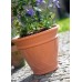 PROSPERPLAST Blumentopf GALEON 7l, Terrakotta DBKO30